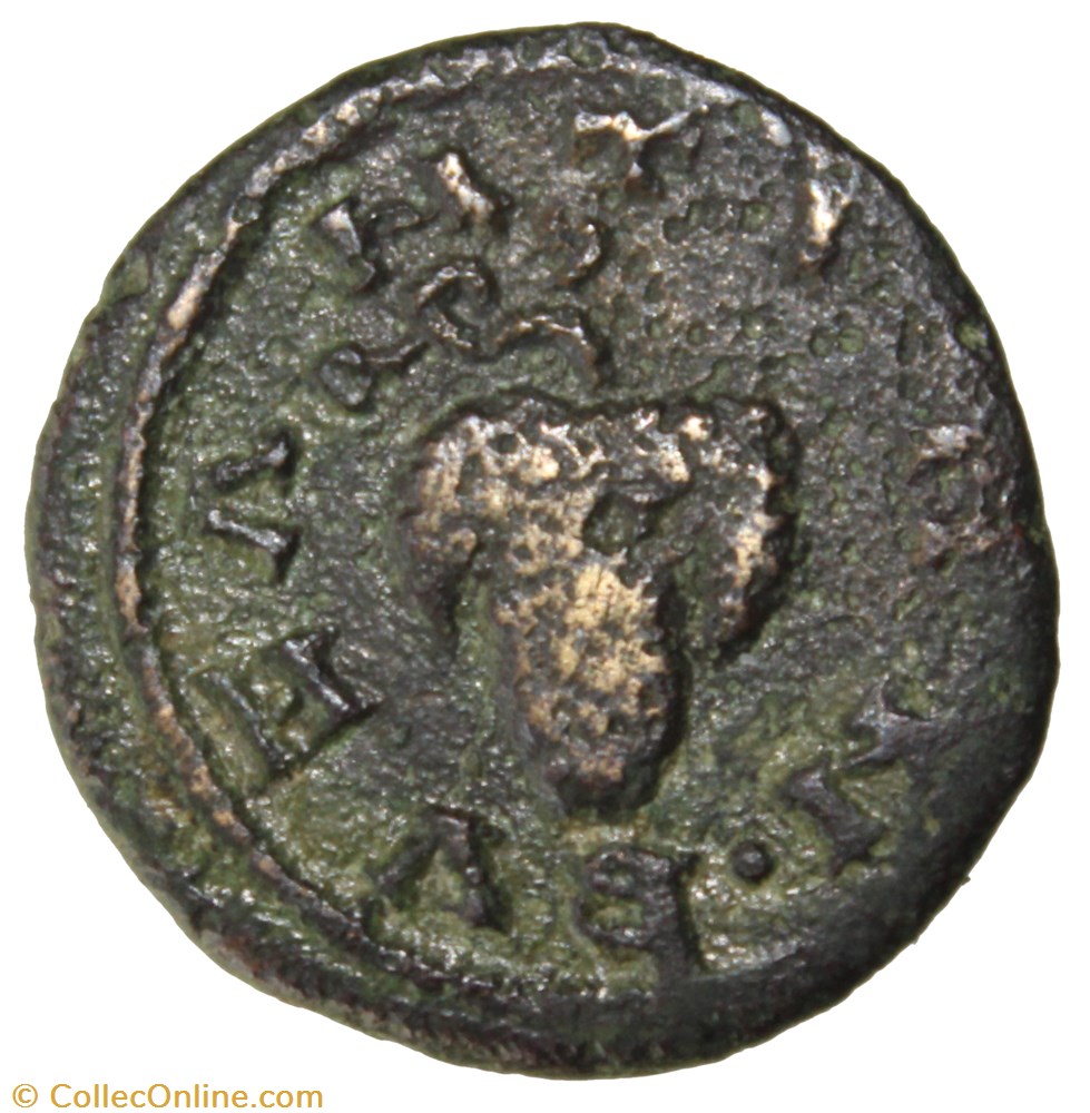 monnaie antique av jc romaine provinciale byzanthion gordien diassaria grappe