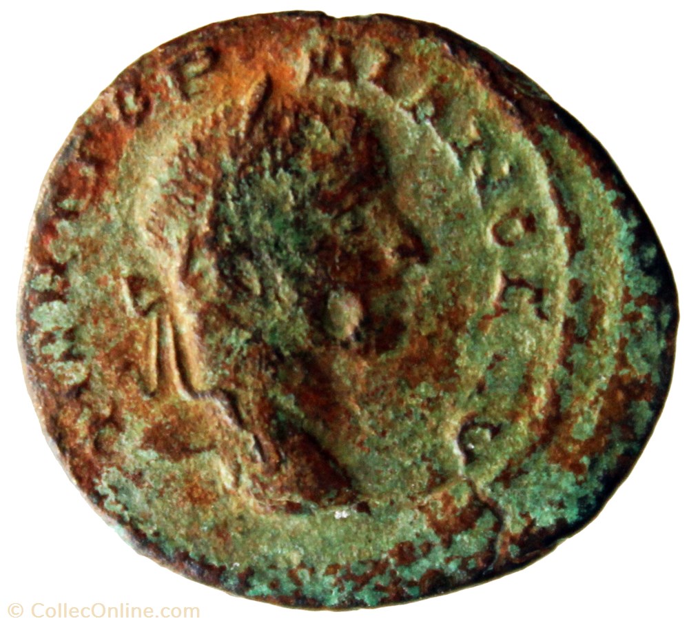 monnaie antique av jc ap romaine provinciale diassaria tyche