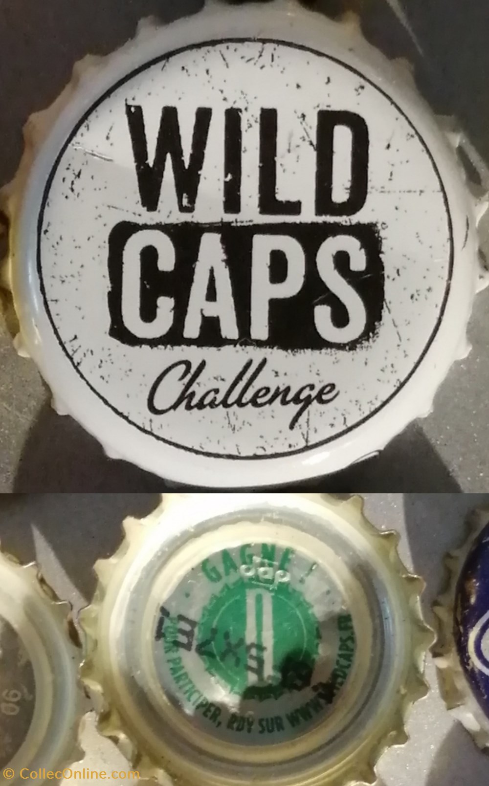 WILD CAPS capsules muselets biere france wild caps