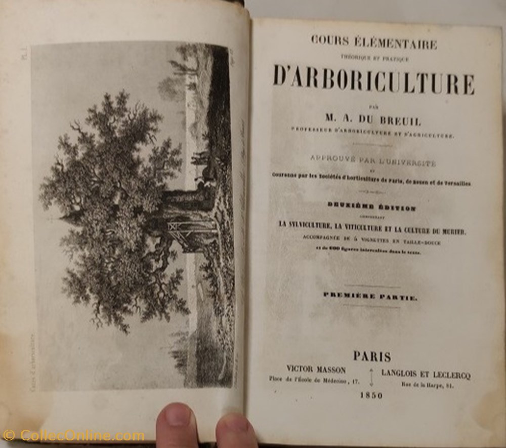 Cours elementaire d'arboriculture 1850 livres bd revues cours elementaire arboriculture 1850