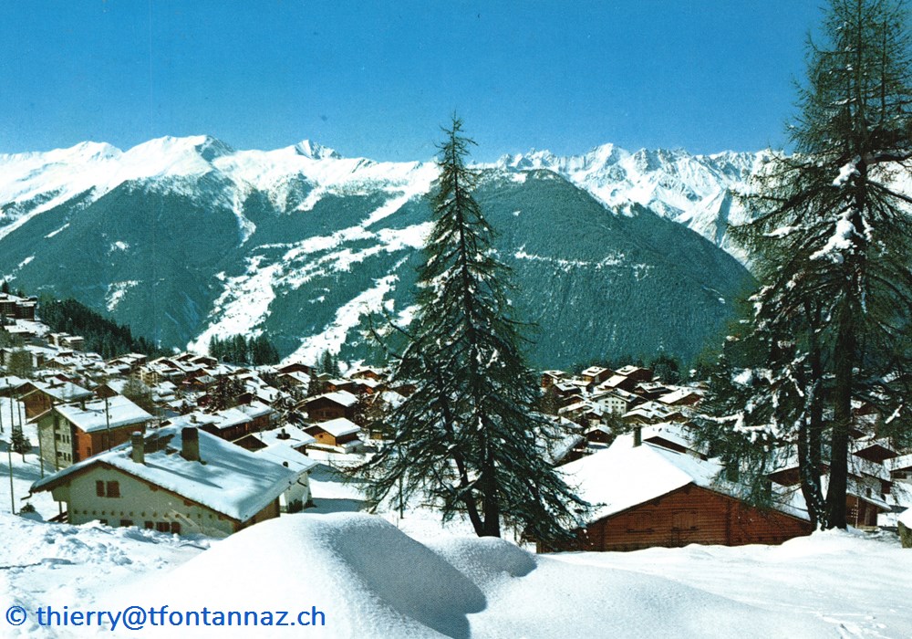 Verbier, vue sur les sommets au dessus de Bruson avec un sapin au premier plan (#V047) cartes postales europe suisse verbier vue sur les sommets au dessus de bruson avec un sapin au premier plan v047