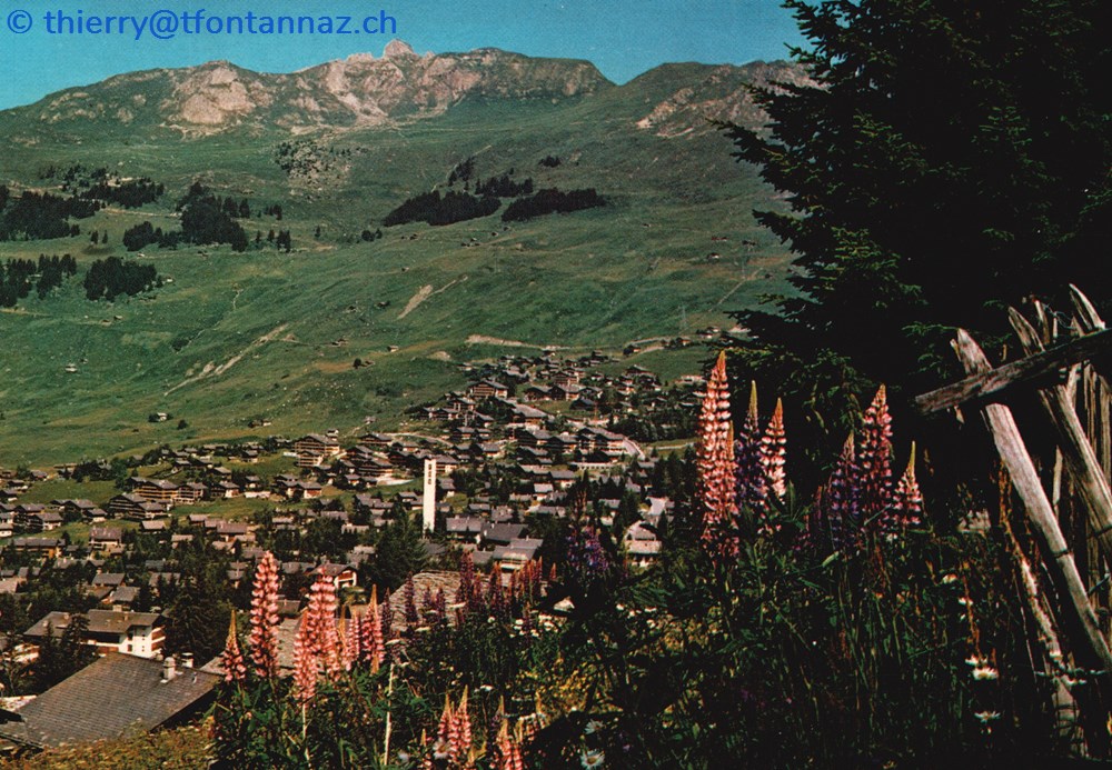cartes postales europe suisse verbier station et lupins v008