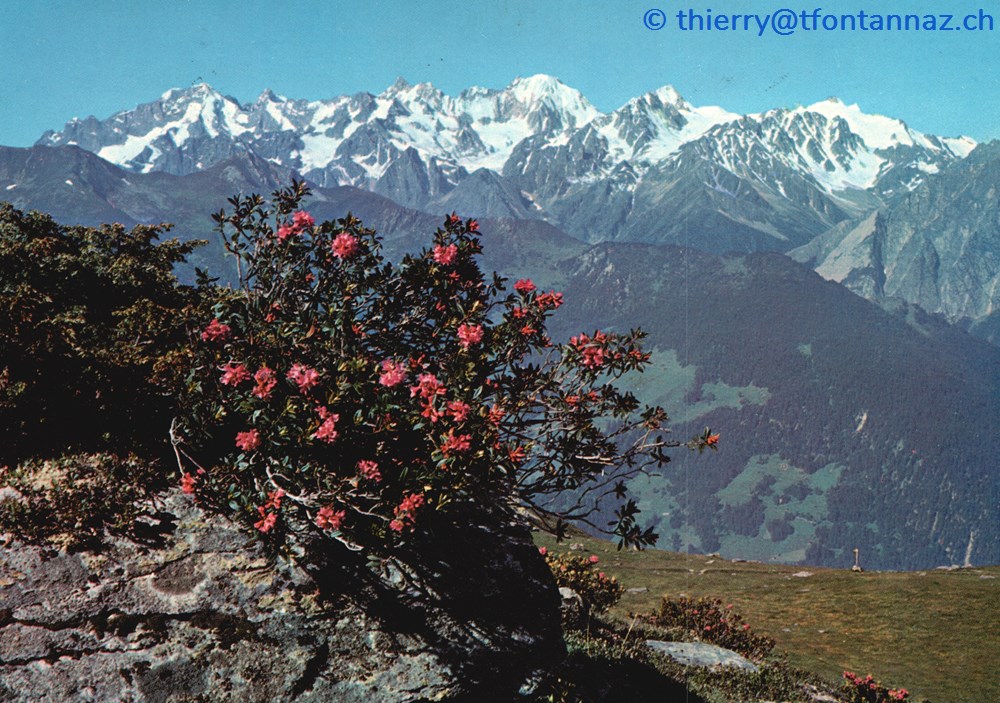 cartes postales europe suisse verbier massif du trient depuis les ruinettes v001