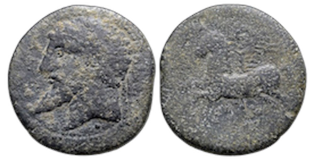 monnaies antiques autres numidie demi unite de bronze massinissa 202 148 avant j c ou micipsa 148 118 avant j c