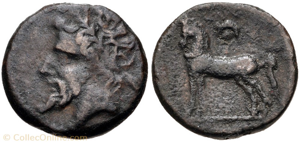 Numidie Quart d'unité de bronze - Massinissa (202 - 148 avant J.-C.)ou Micipsa (148-118 avant J-C) monnaies antiques grecques numidie quart unite de bronze massinissa 202 148 avant j c ou micipsa 148 118 avant j c