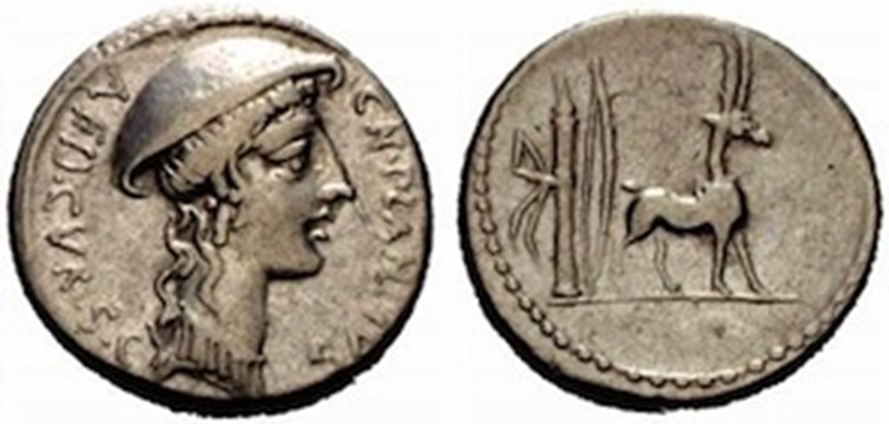 monnaies antiques romaines imperiales et republicaines 055 plancia