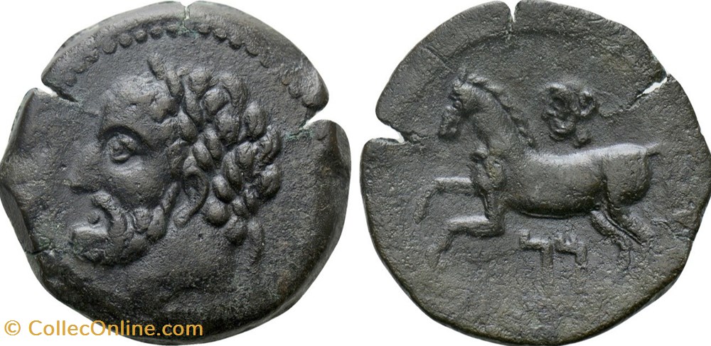 monnaies antiques grecques numidie unite de bronze massinissa 202 148 avant j c ou micipsa 148 118 avant j c