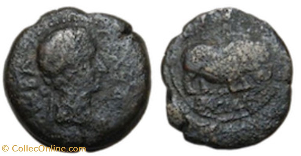 Demi-unité - JUBA II (19 avant J.-C. - 6 après J.-C.) monnaies antiques grecques demi unite juba ii 19 avant j c 6 apres j c