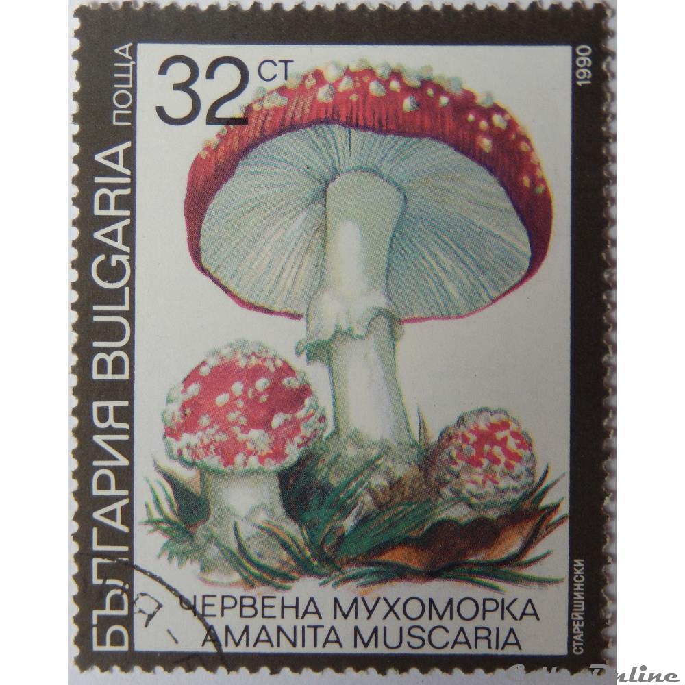 Bulgarie 03355 Amanite tue-mouches 32CT de 1991 timbre europe bulgarie 03355 amanite tue mouches 32ct de 1991