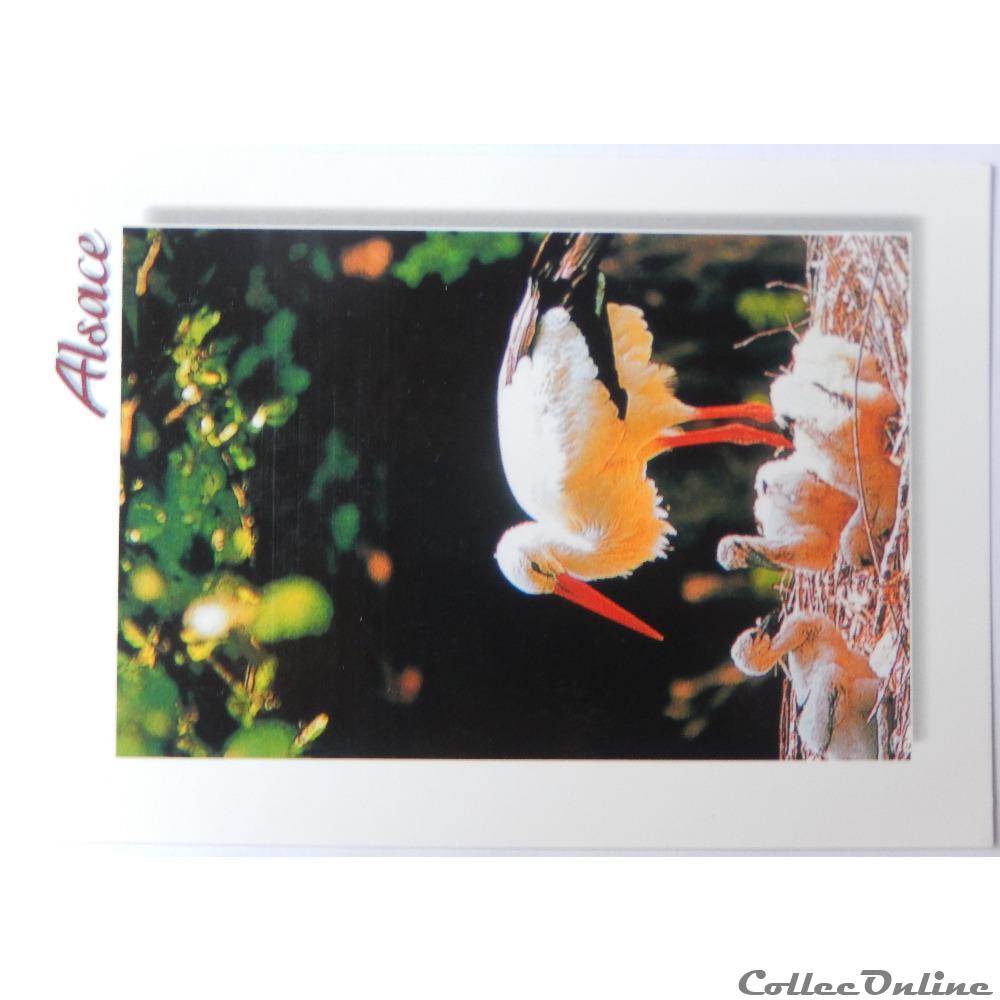 CP d'Alsace, nid de cigogne carte postale france cp alsace nid de cigogne
