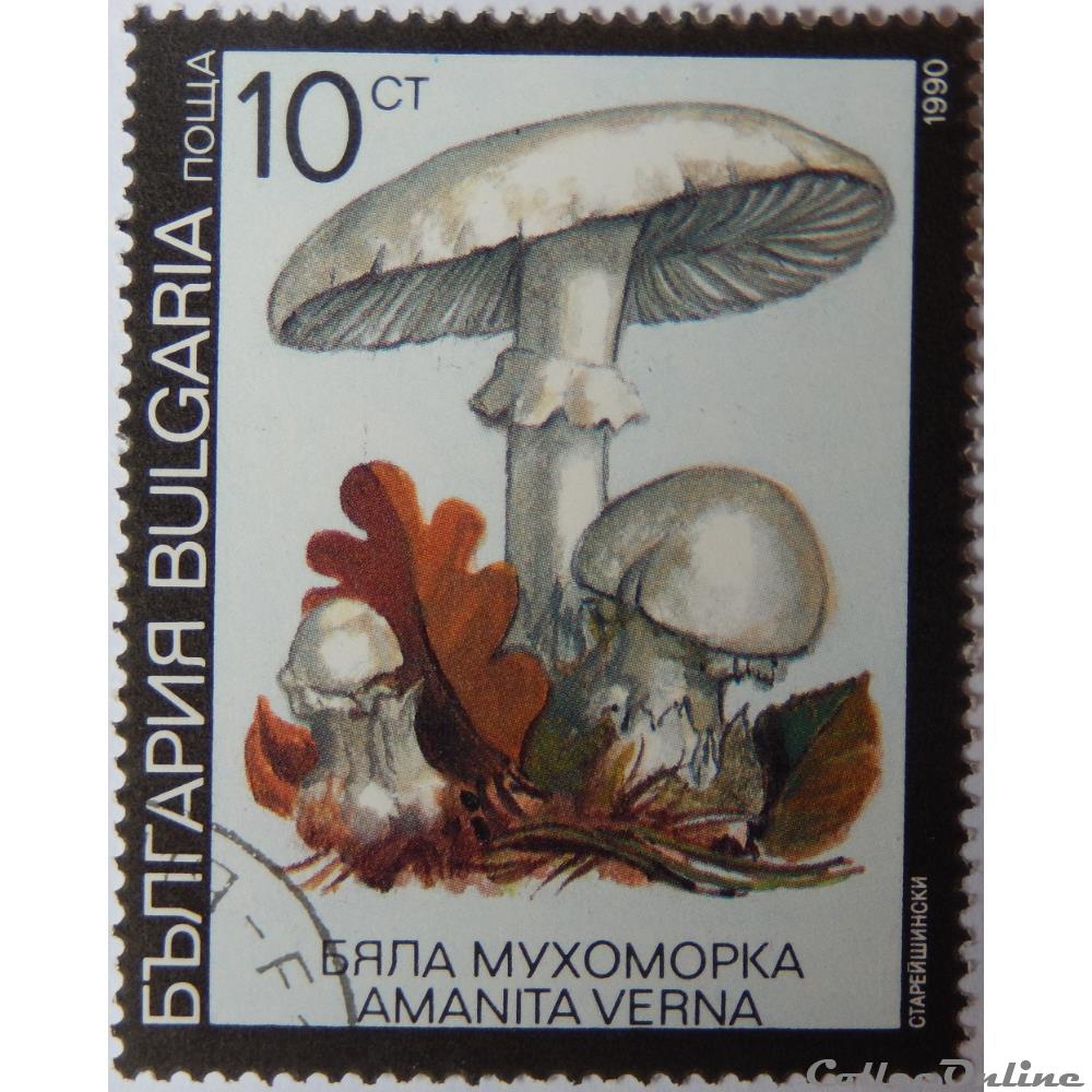timbre europe bulgarie 03353 amanite printaniere 10ct de 1991