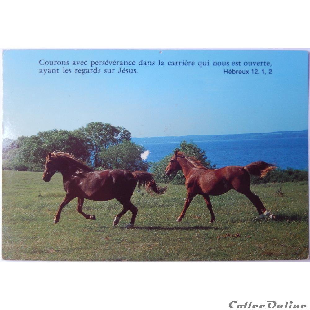carte postale europe alsace cp citation biblique chevaux