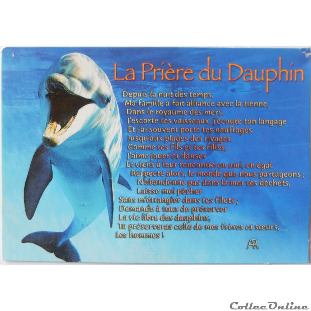 CP Animaux, Dauphins carte postale franche comte cp animaux dauphins
