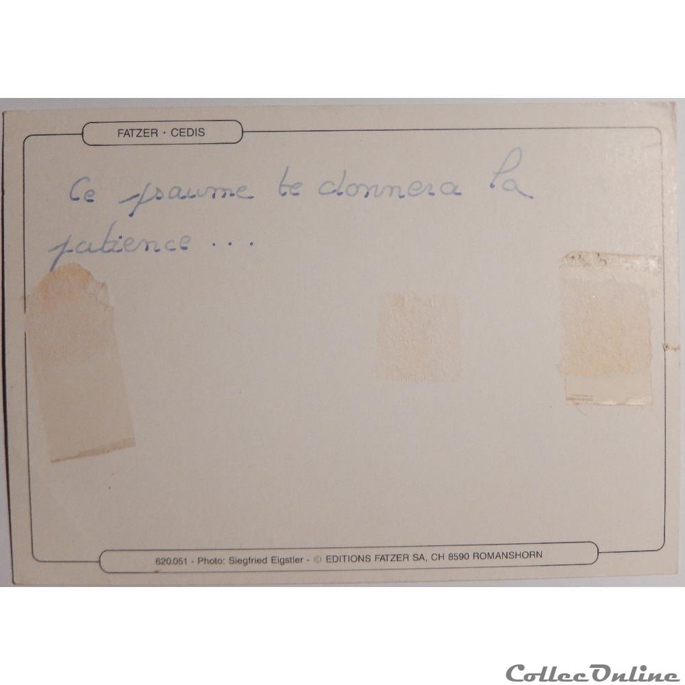 CP Citation biblique, Fleurs des champs carte postale europe lorraine cp citation biblique fleurs des champs