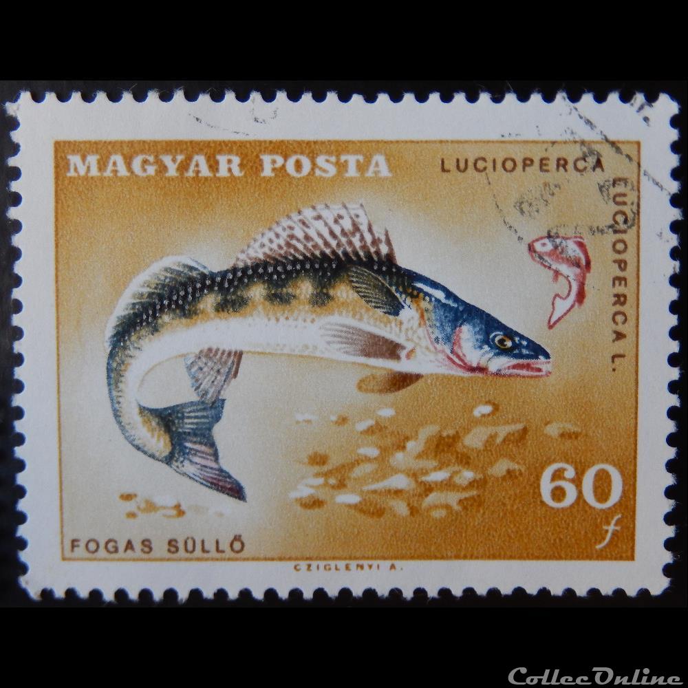 Hongrie 01911 Sandre 60f de 1967 timbre europe hongrie 01911 sandre 60f de 1967