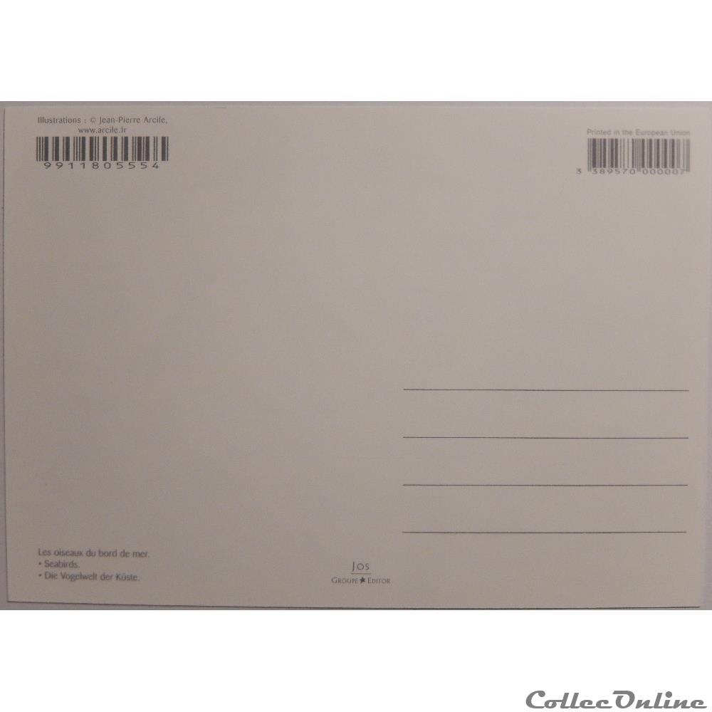 carte postale europe midi pyrenee cp animaux oiseaux du bord de mer