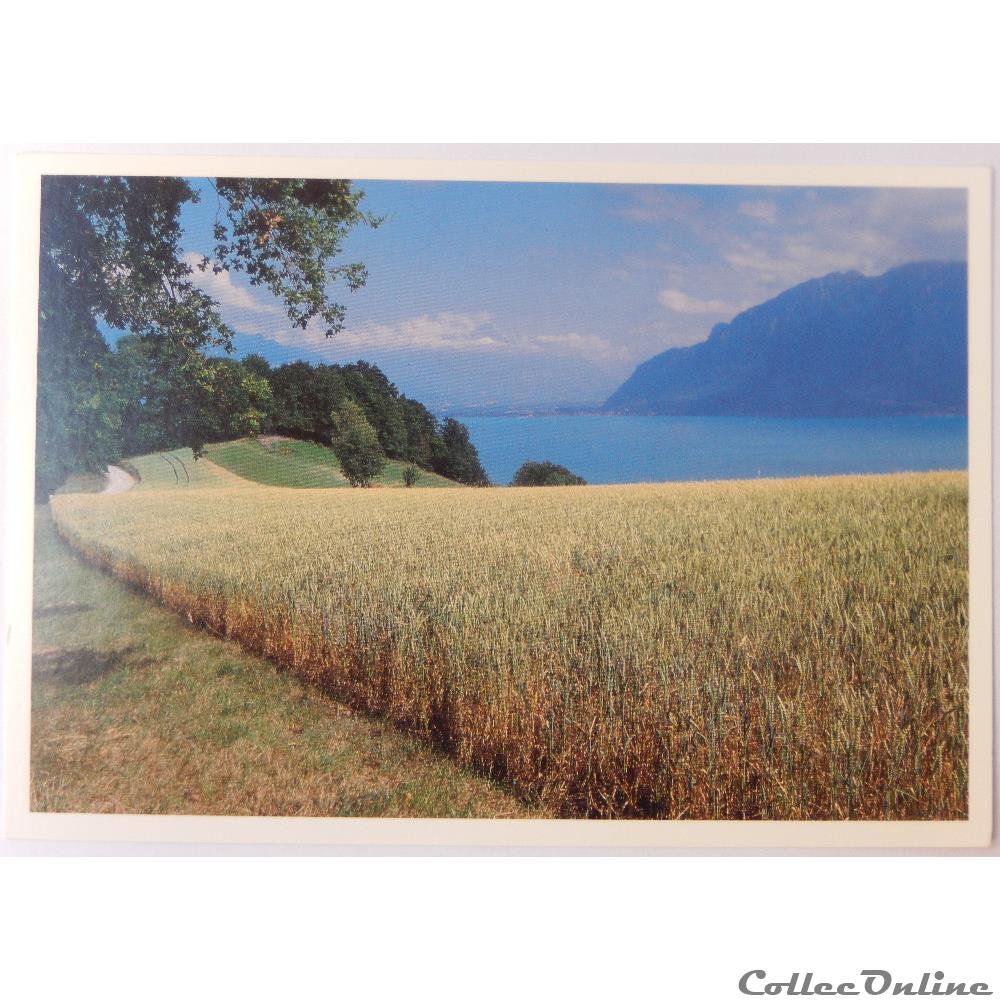 CP de Suisse, Genève, Lac Léman carte postale europe rhone alpe cp de suisse geneve lac leman