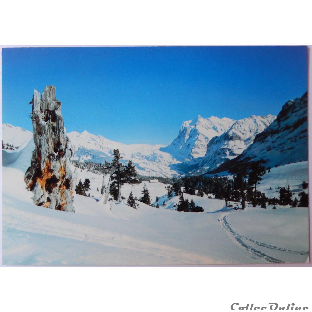 CP de Suisse, Berne, Grindelwald carte postale europe languedoc roussillon cp de suisse berne grindelwald