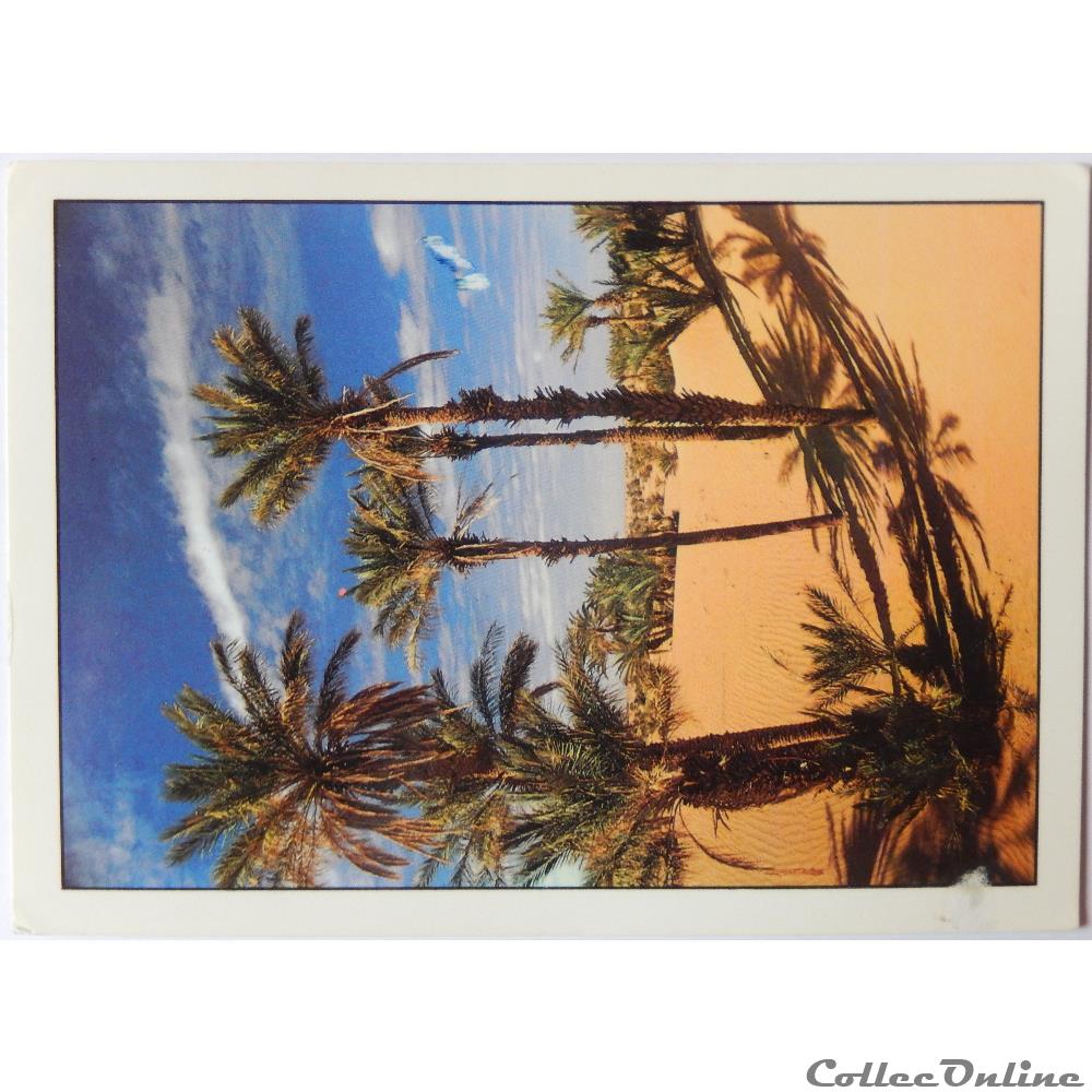 carte postale afrique poitou charente cp du maroc