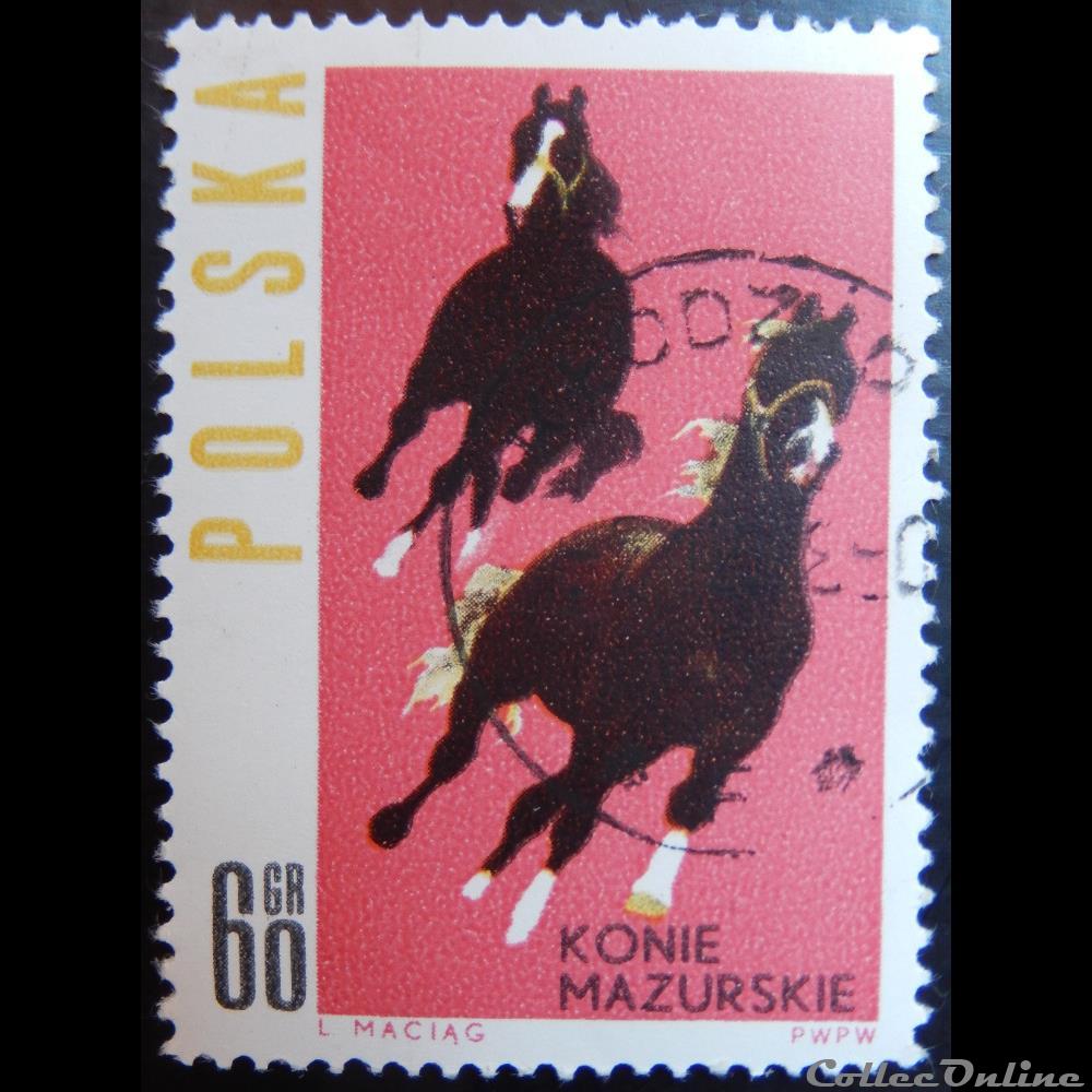 timbre europe pologne 01316 chevaux de la region de mazurskie 60gr de 1963