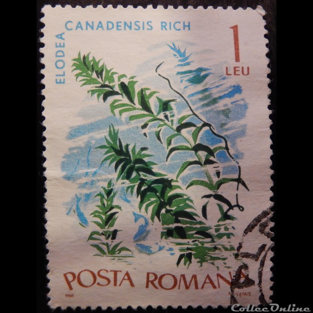 Roumanie 02235 Elodée du Canada 1 Lei de 1966 timbre europe roumanie 02235 elodee du canada 1 lei de 1966
