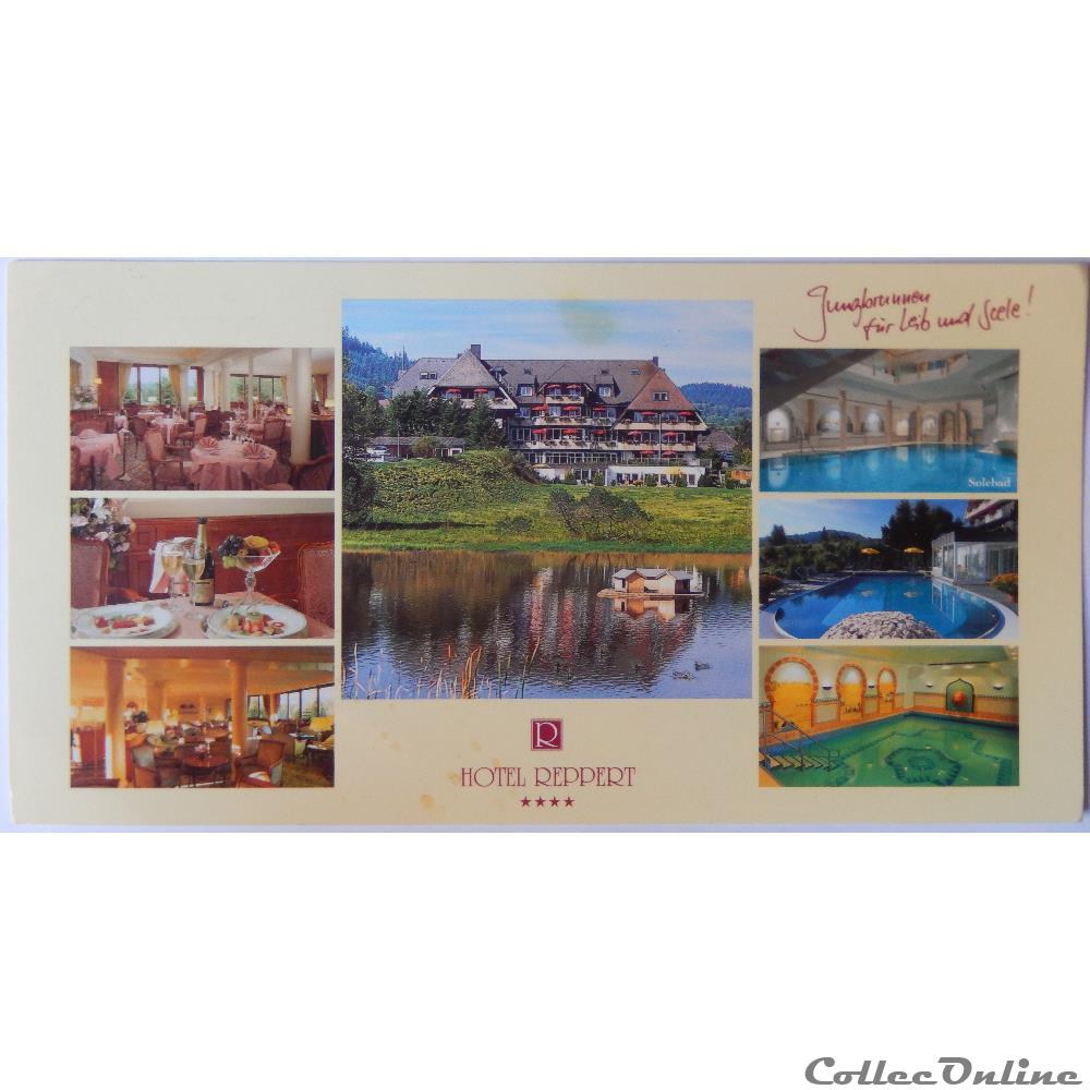 CP d'Allemagne, Bade-Wurtemberg, Hinterzarten carte postale europe alsace cp allemagne bade wurtemberg hinterzarten