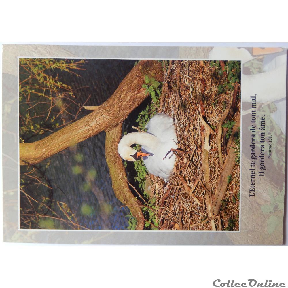 carte postale europe auvergne cp citation biblique