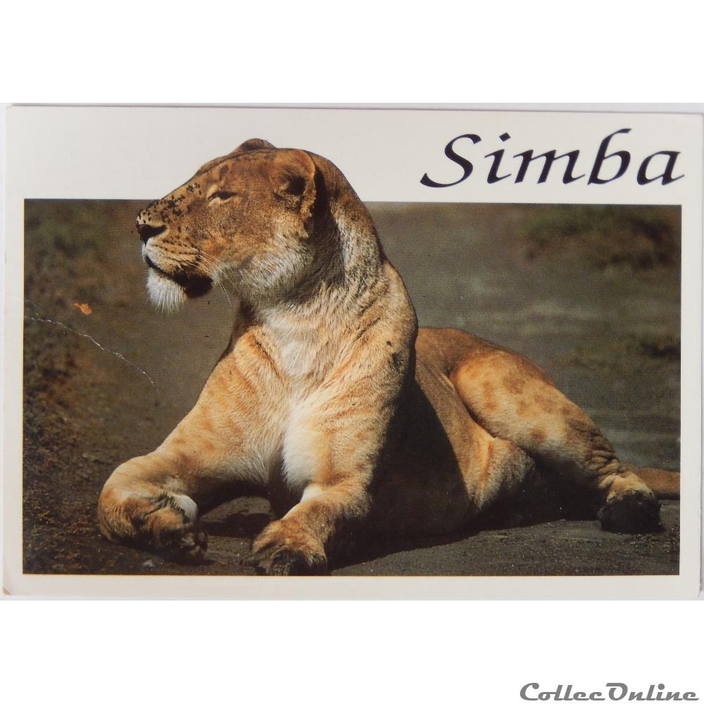 carte postale afrique provence cote d azur cp animaux lionne