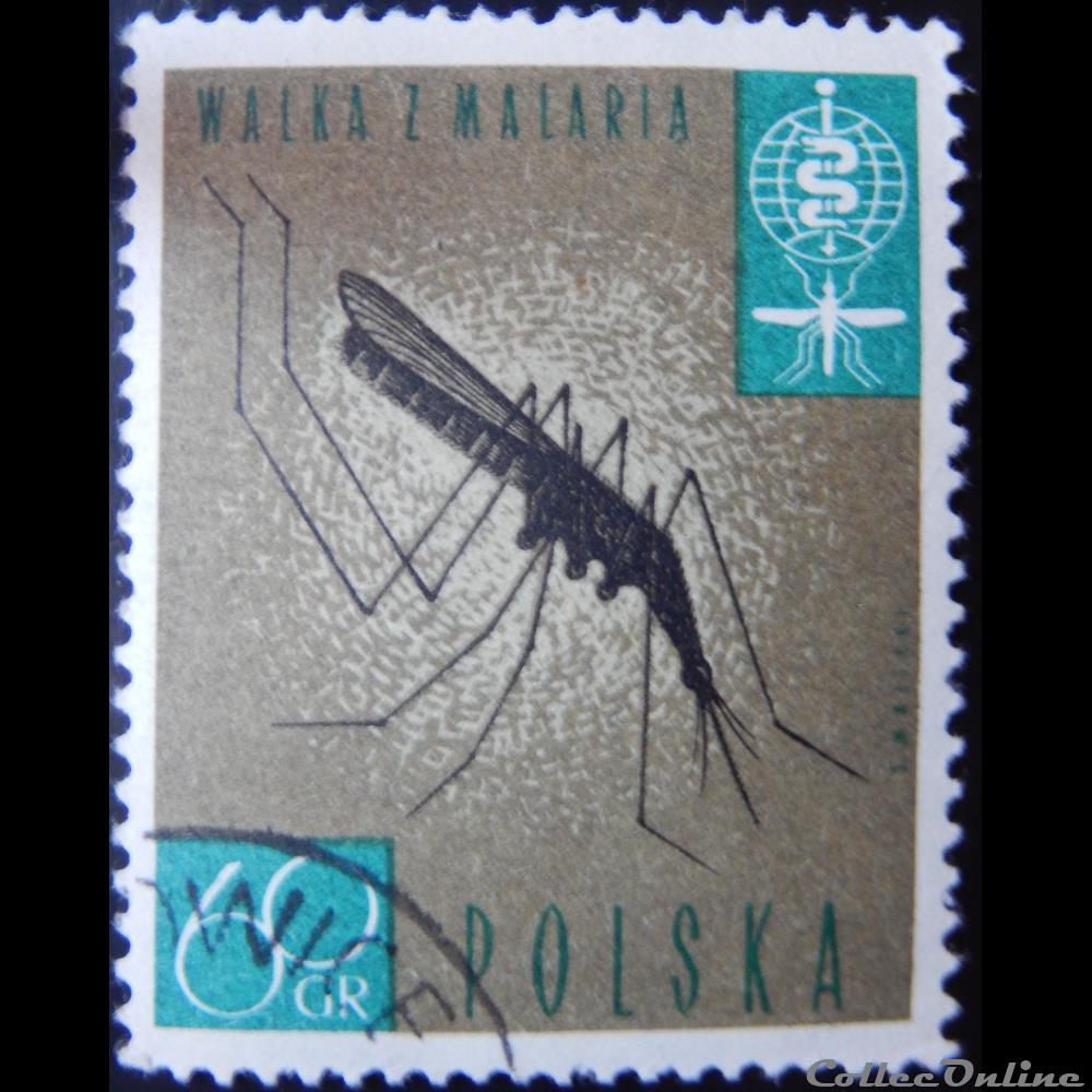 timbre europe pologne 01206 moustique anophele 60gr de 1962