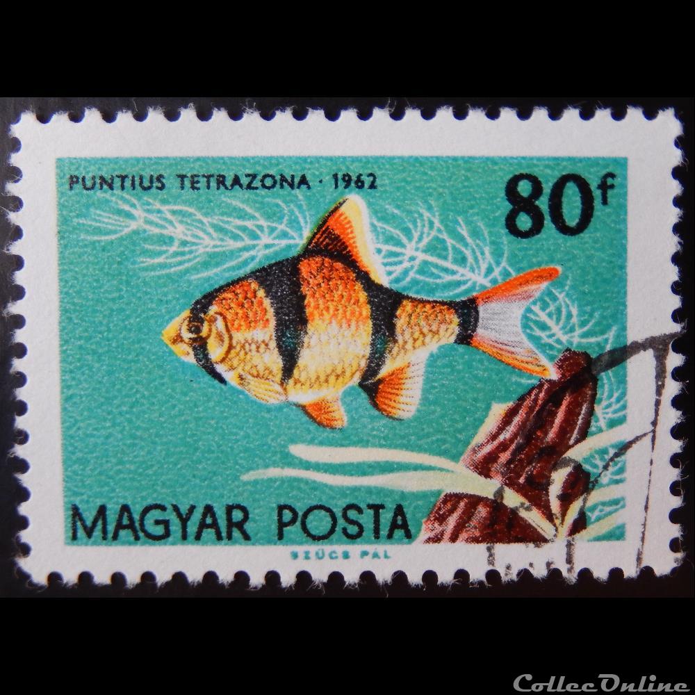 Hongrie 01499 Poisson tropical 80f de 1962 timbre europe hongrie 01499 poisson tropical 80f de 1962