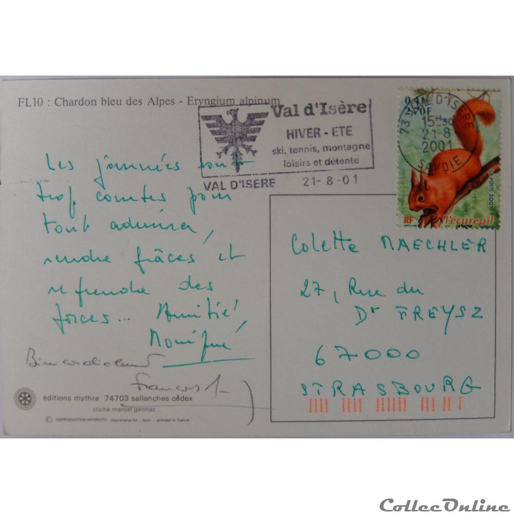 CP Flore, Chardon bleu des Alpes carte postale europe midi pyrenee cp flore chardon bleu des alpes