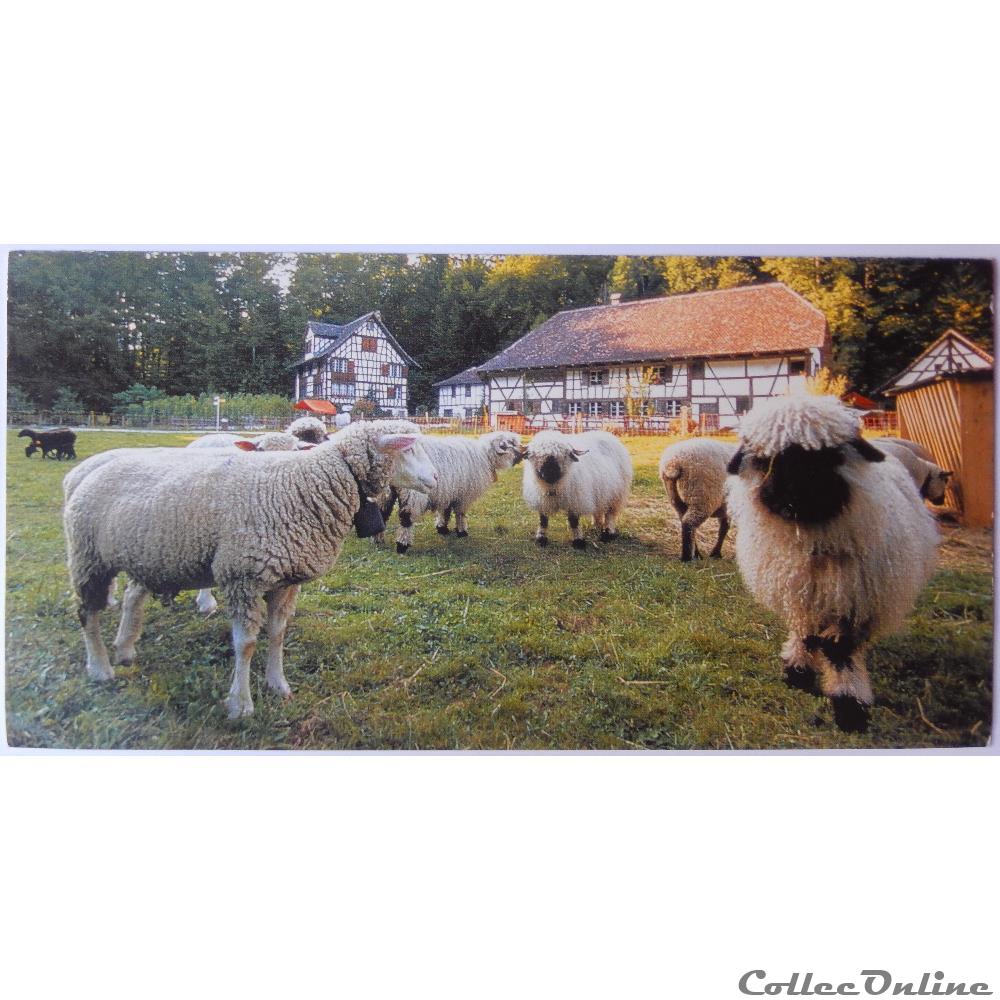 CP de Suisse, Berne, Brienzwiler carte postale europe lorraine cp de suisse berne brienzwiler