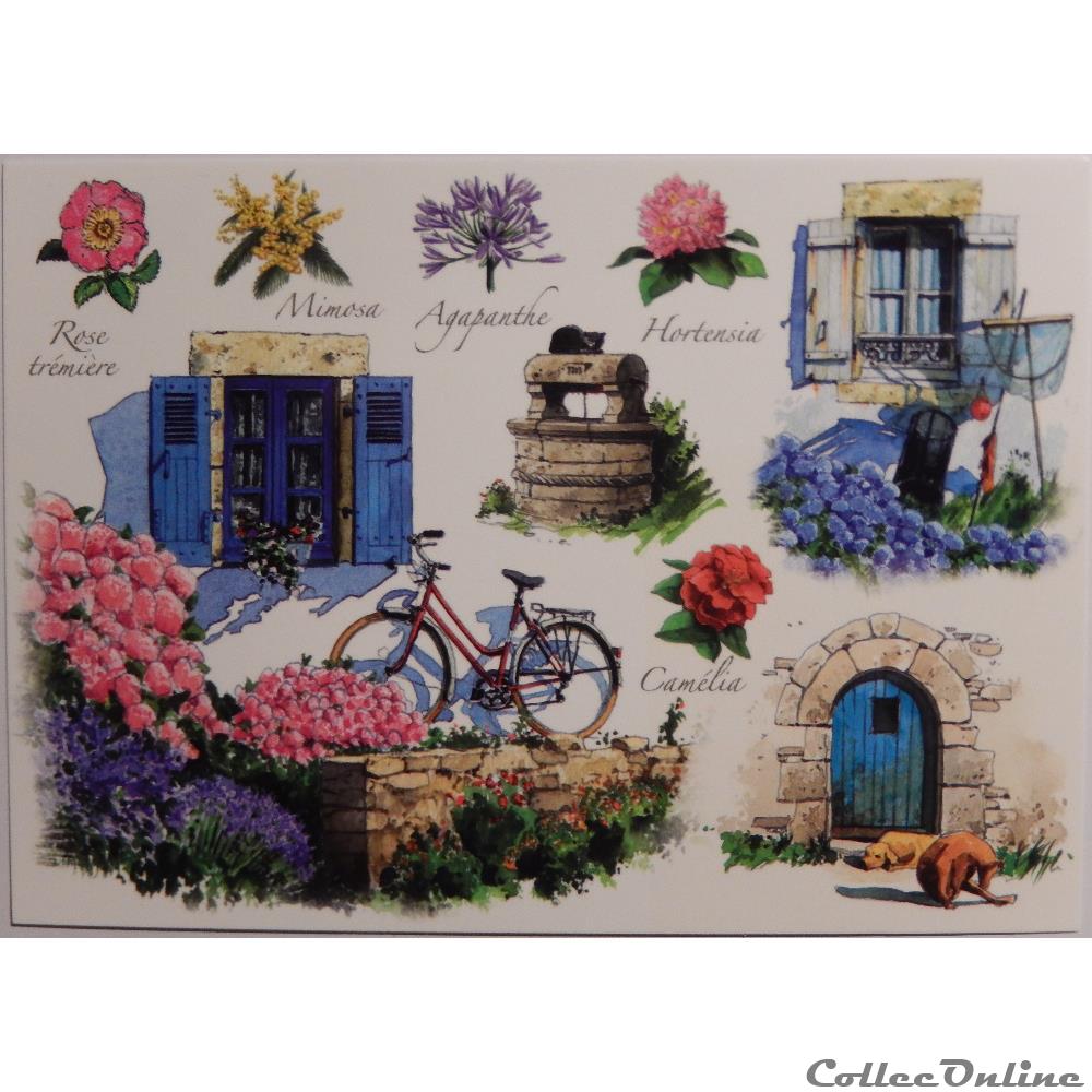carte postale europe alsace cp flore