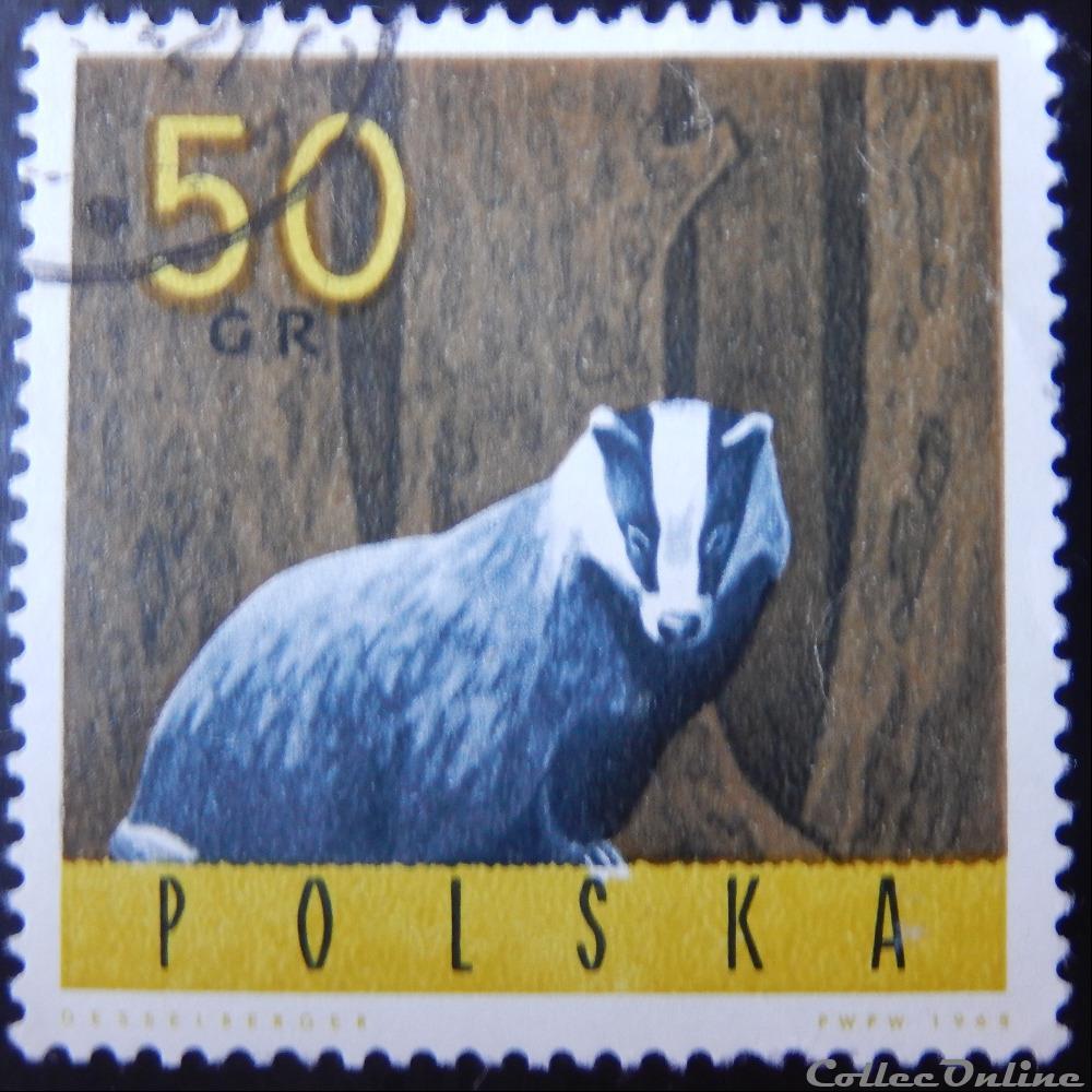 timbre europe pologne 01486 blaireau 50gr de 1965