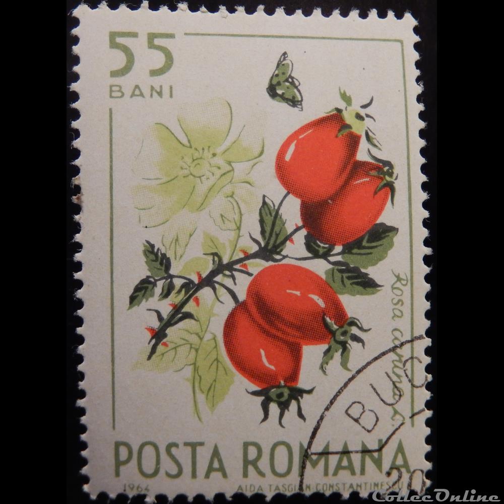 Roumanie 02087 Aubépine 55 Bani de 1964 timbre europe roumanie 02087 aubepine 55 bani de 1964