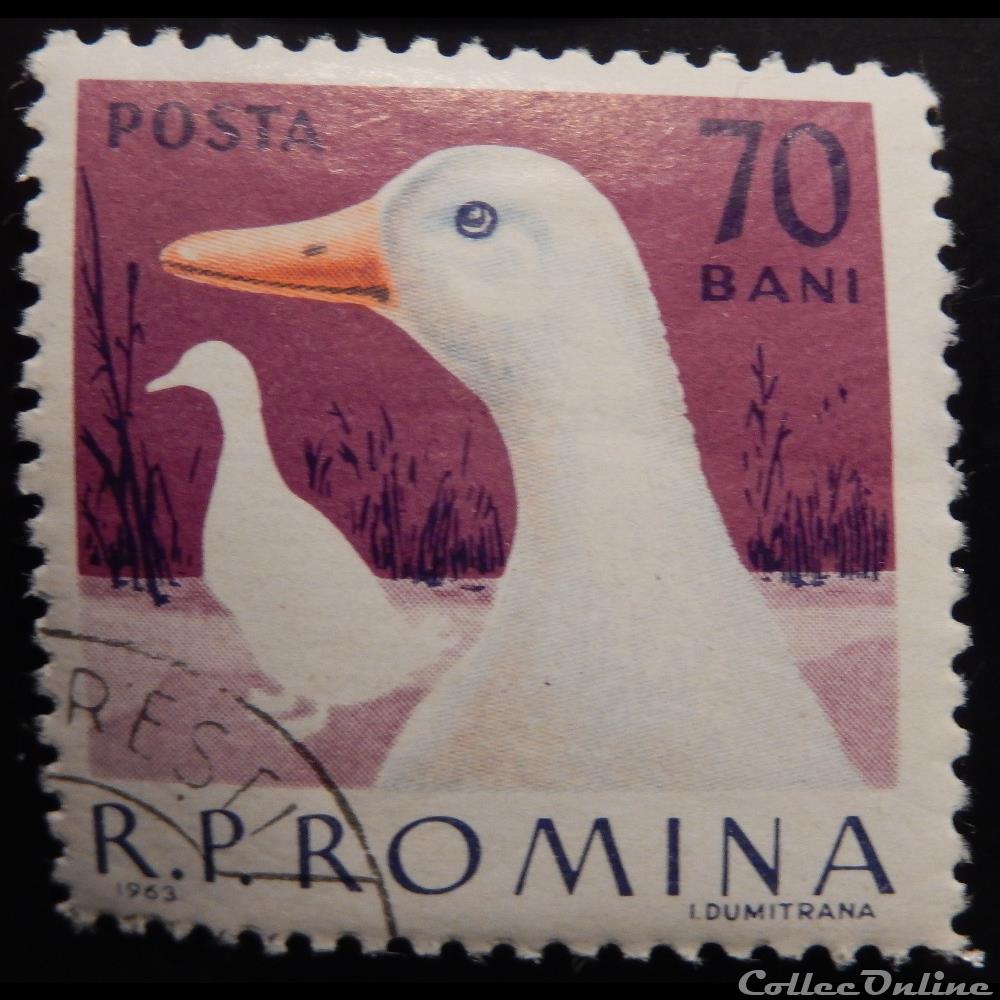 timbre europe roumanie 01912 oie 70 bani de 1963