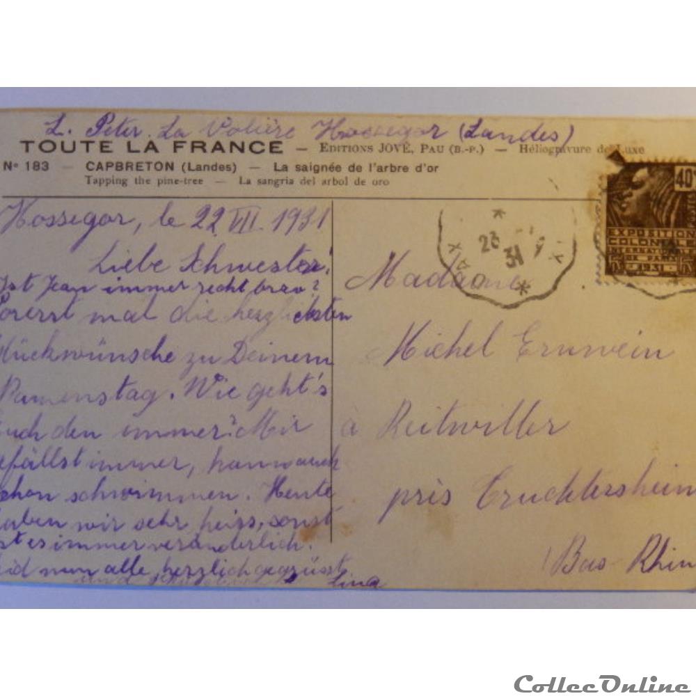 CPA des Landes, Capbreton, la saignée de l'arbre d'or carte postale france aquitaine cpa des landes capbreton la saignee de arbre or