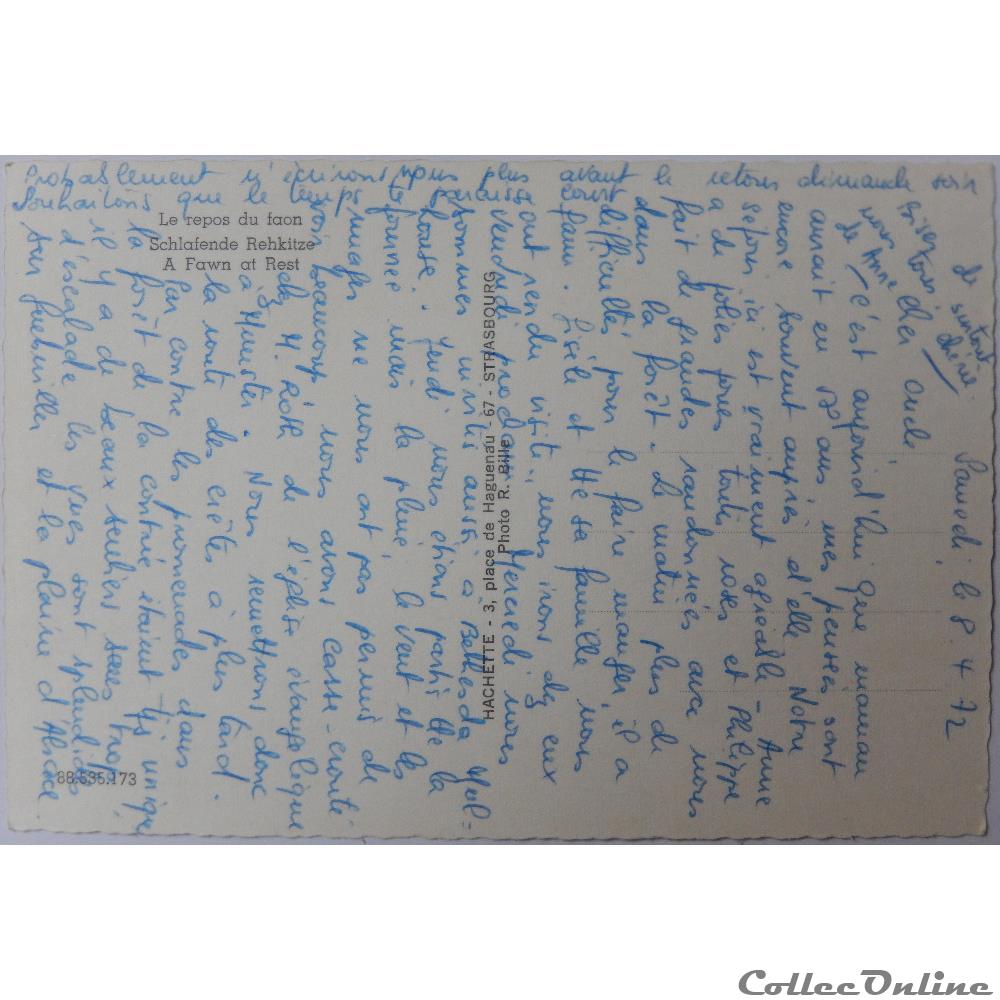 carte postale aquitaine cpa animaux faon