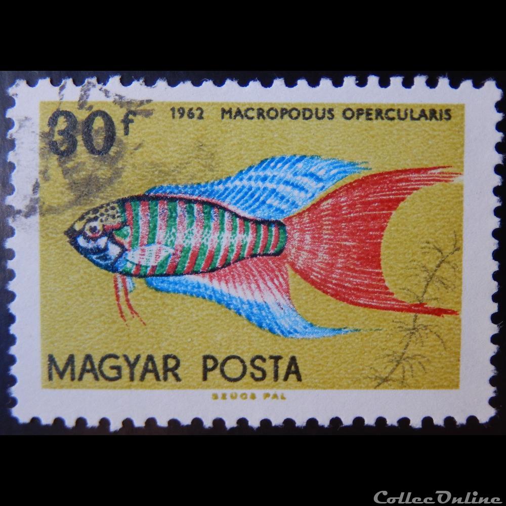 Hongrie 01496 Poisson tropical 30f de 1962 timbre europe hongrie 01496 poisson tropical 30f de 1962