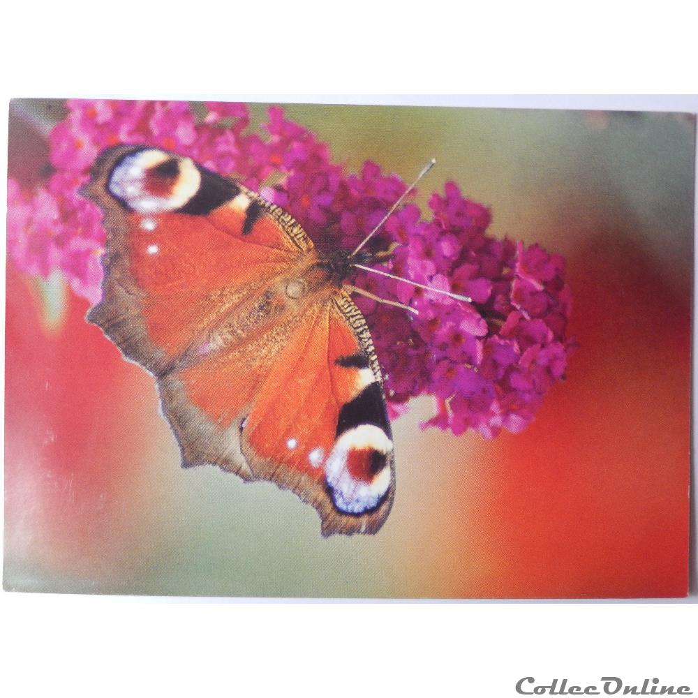 carte postale midi pyrenee cp animaux papillon