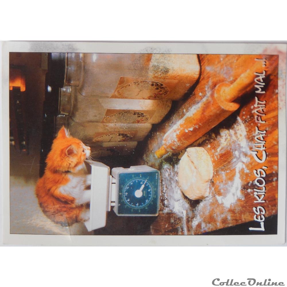 CP humour carte postale provence cote d azur cp humour