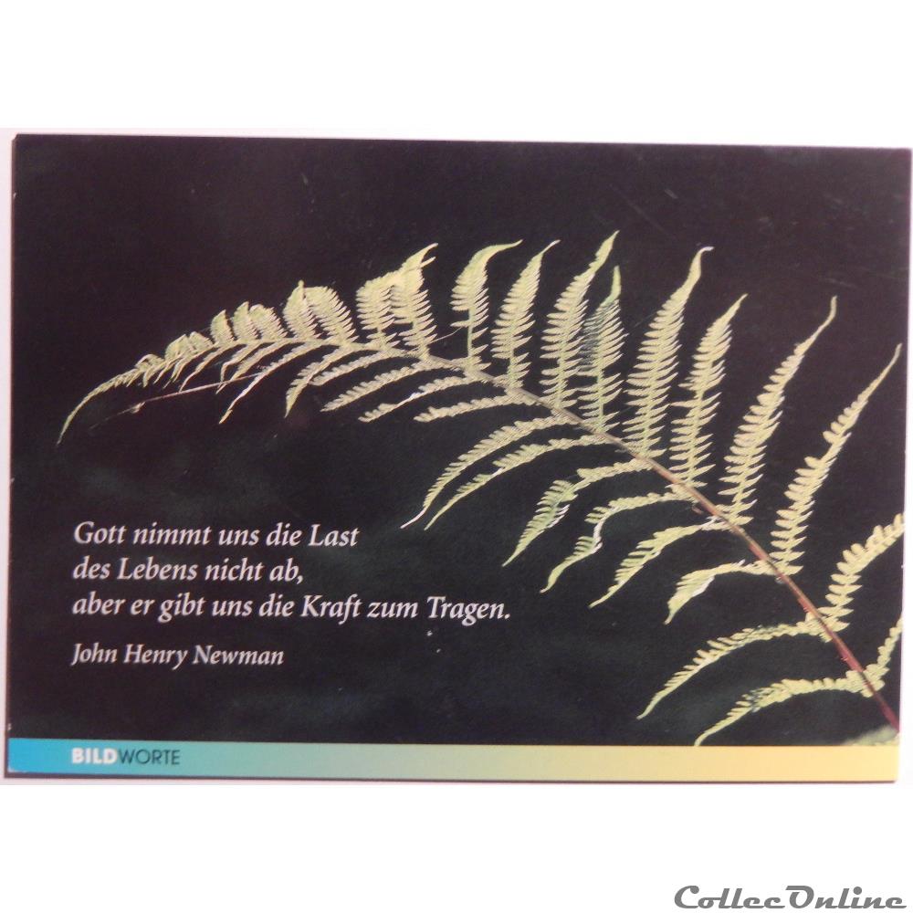 carte postale europe alsace cp citation en allemand fougere