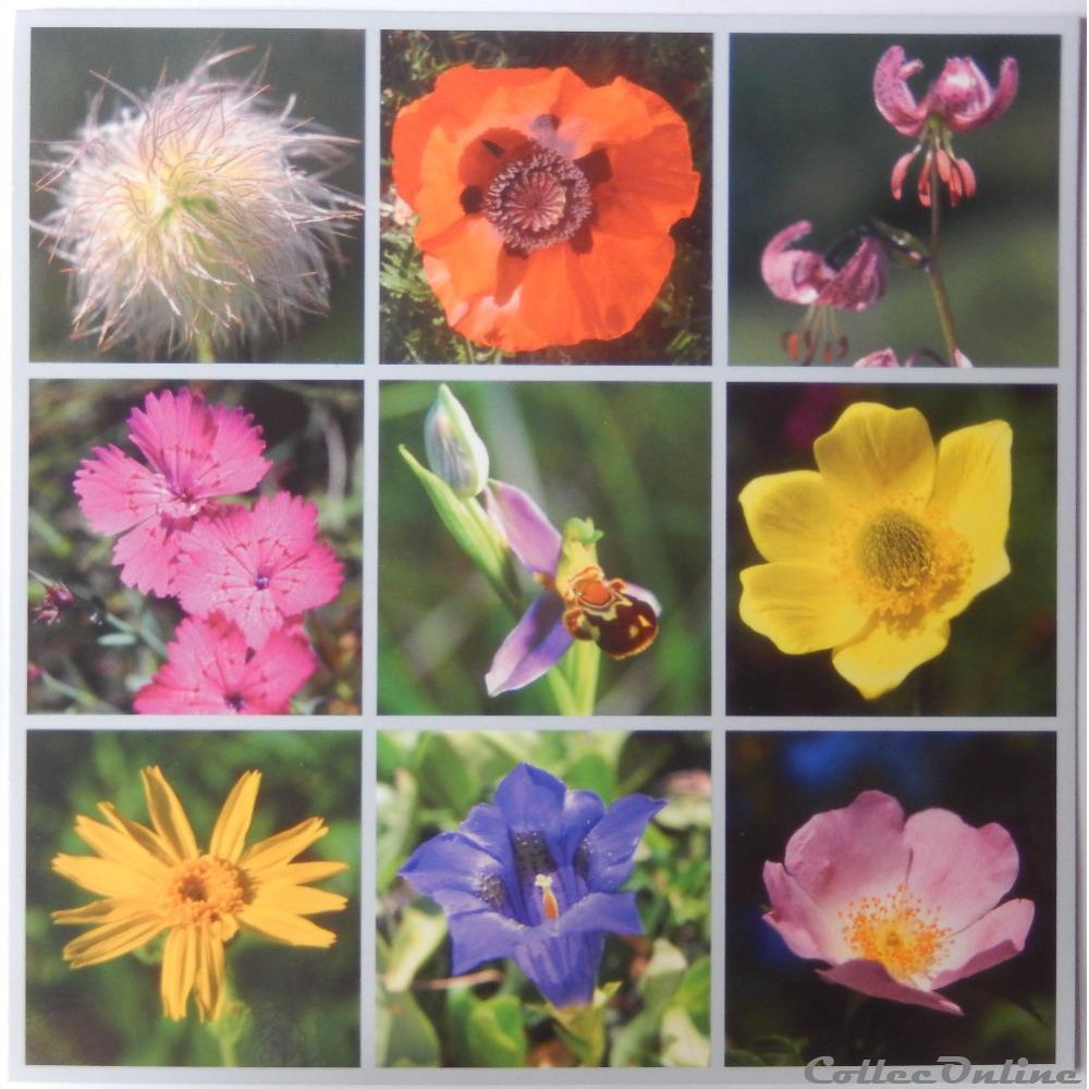 carte postale europe midi pyrenee cp flore