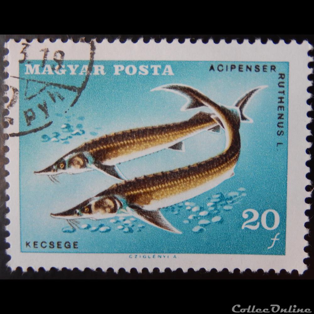 Hongrie 01910 Esturgeons 20f de 1967 timbre europe hongrie 01910 esturgeons 20f de 1967