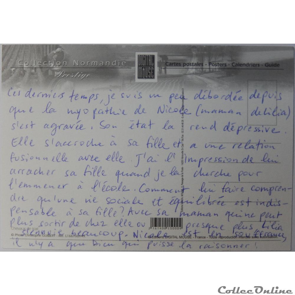 carte postale europe languedoc roussillon cp chevaux en normandie