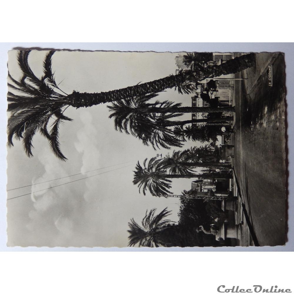 carte postale france provence cote azur cpa du var hyeres avenue de belgique
