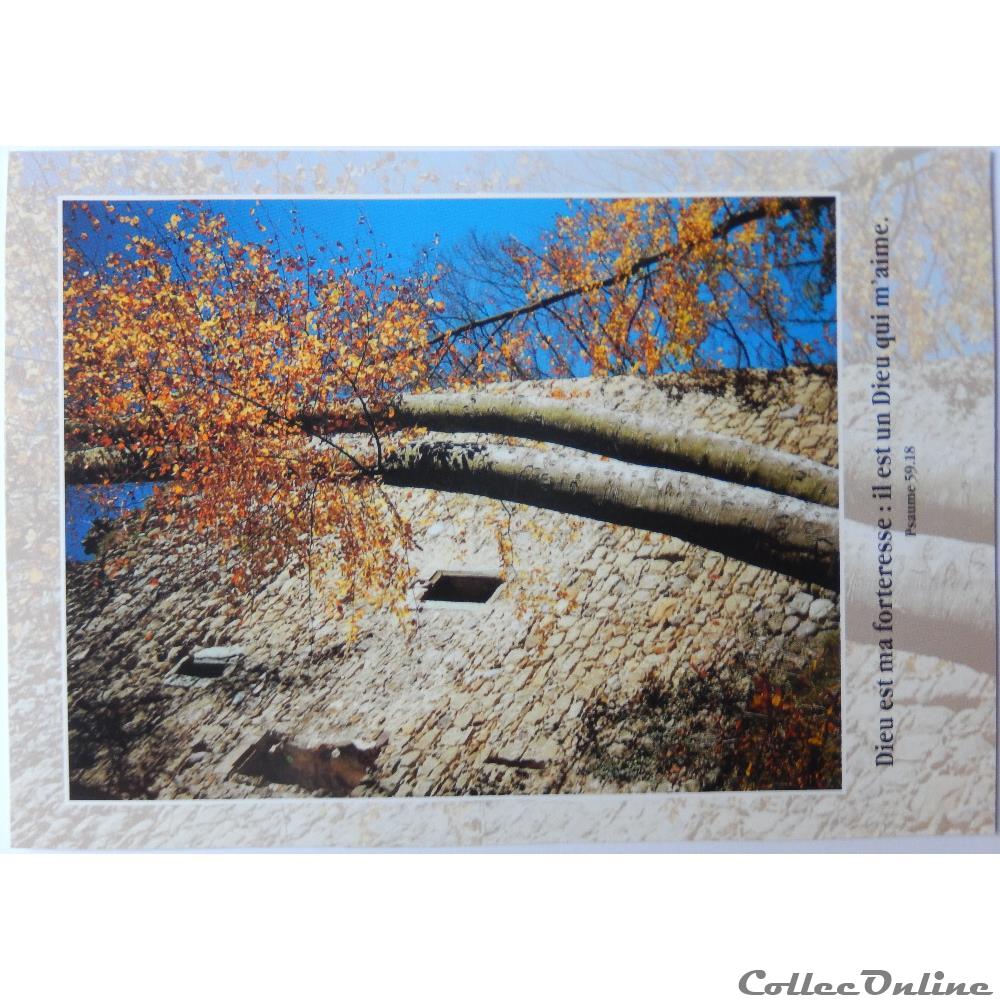 Cp Citation Biblique Paysage Cartes Postales Europe