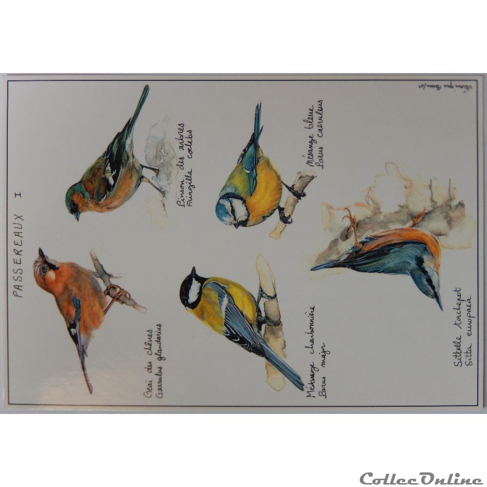 carte postale europe outre mer cp animaux passereaux