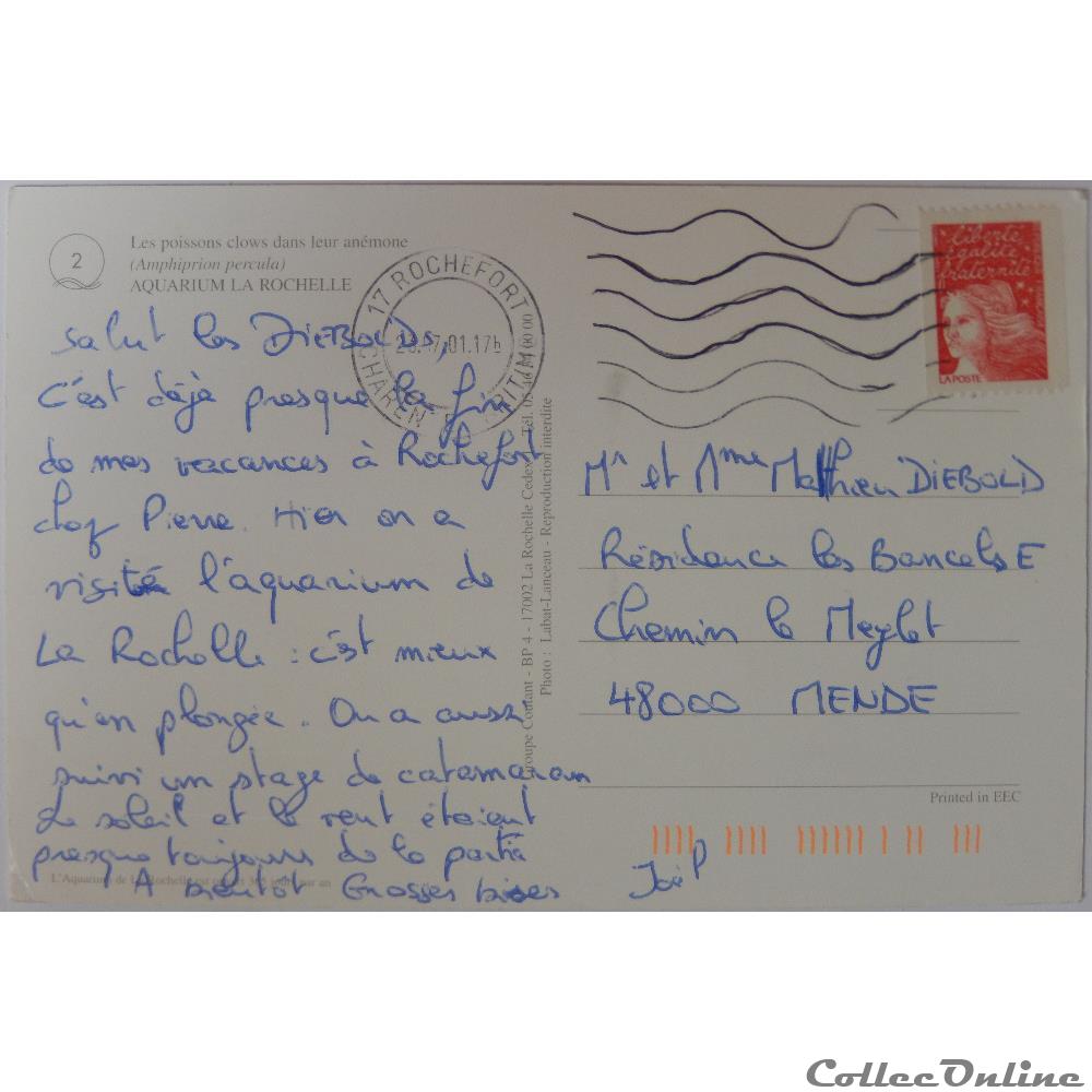 carte postale europe provence cote d azur cp animaux poissons clowns