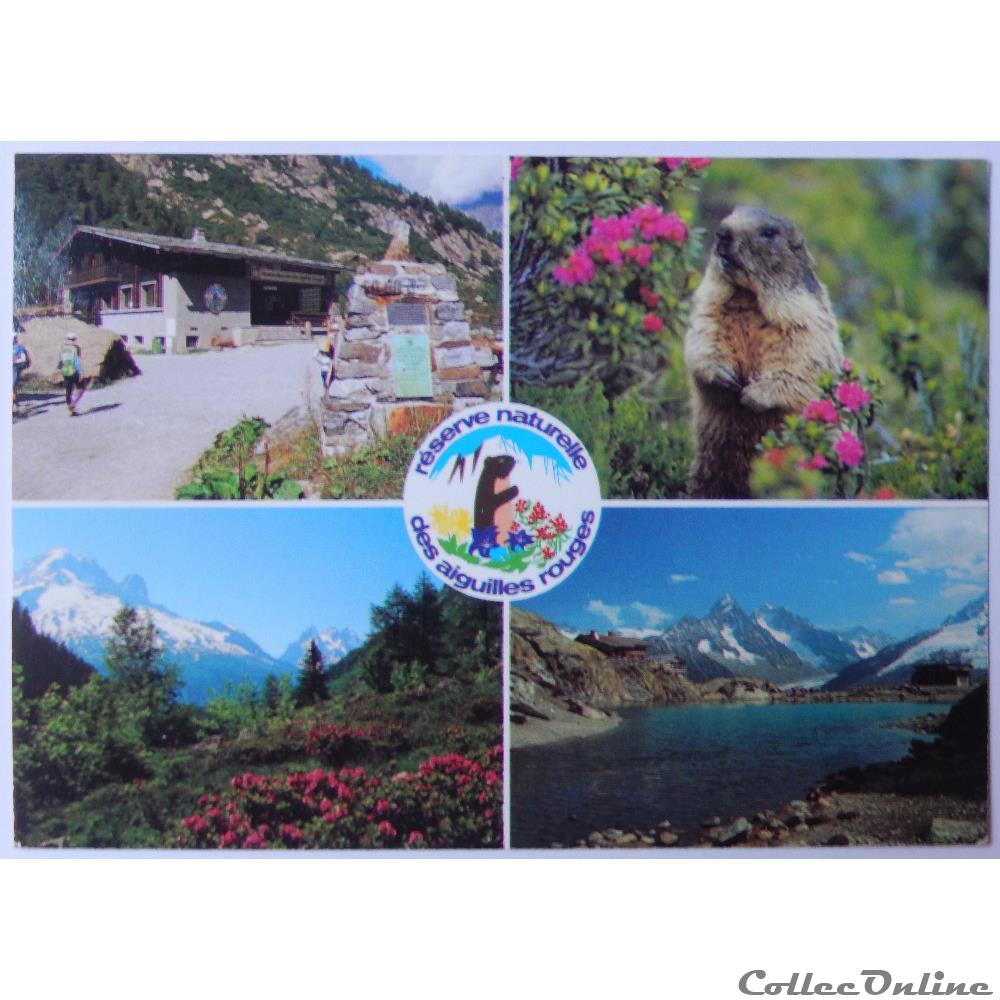 carte postale france rhone alpe cp de haute savoie argentiere